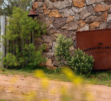 Entrada a Las Cañas
